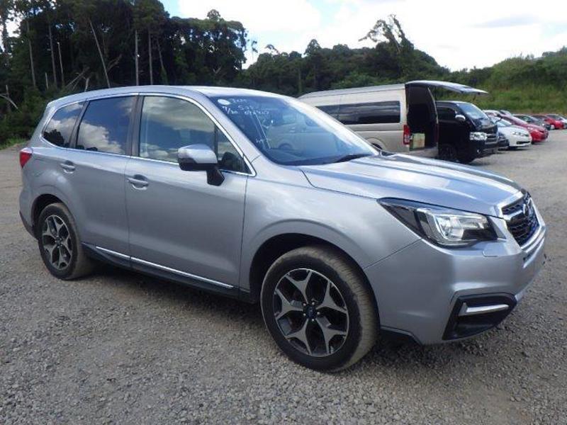 FORESTER-0
