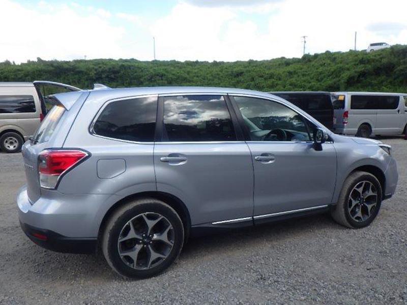 FORESTER