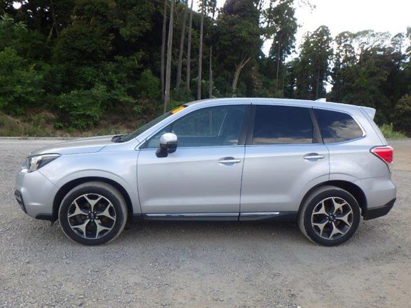 FORESTER