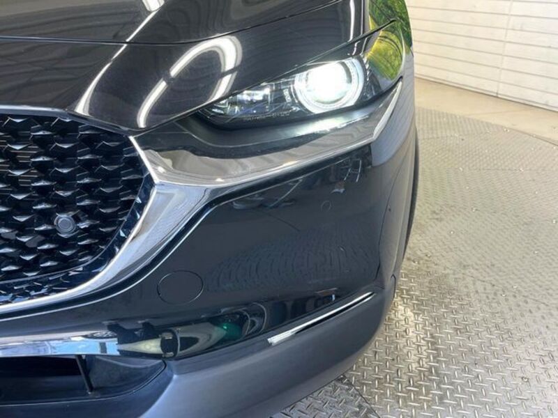 CX-30