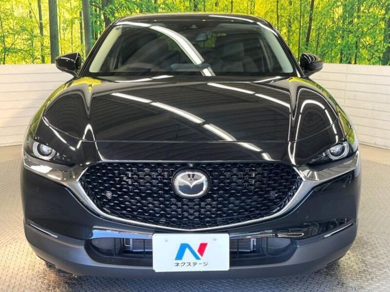 CX-30