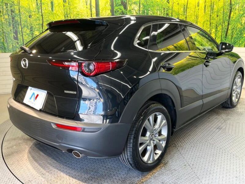 CX-30