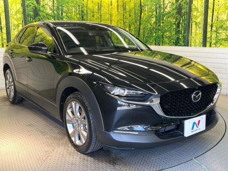 CX-30