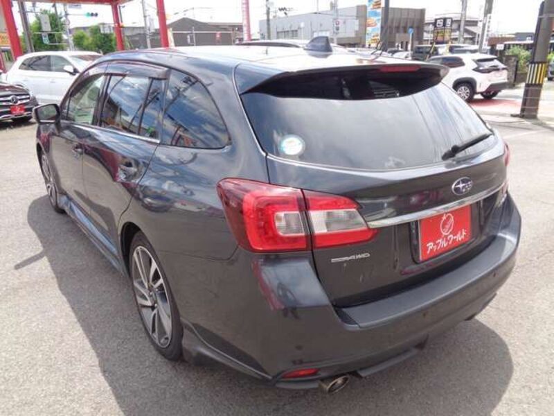 LEVORG