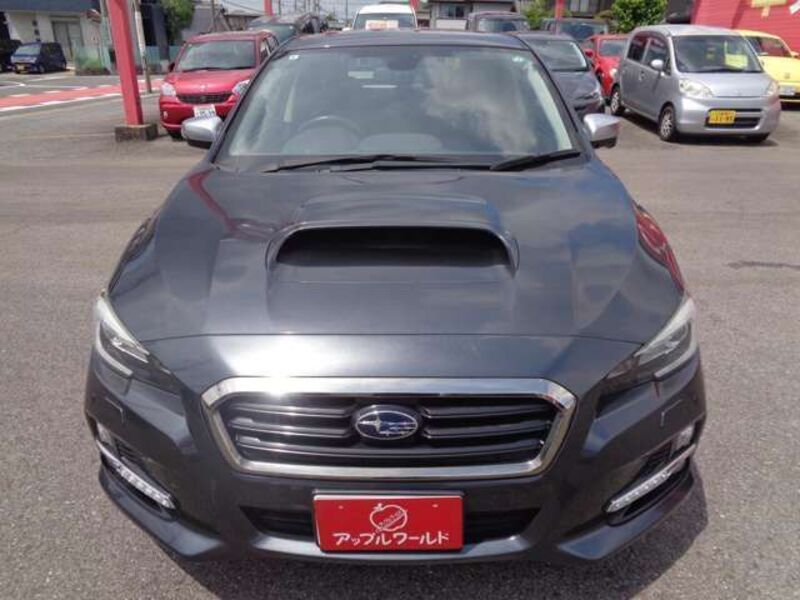 LEVORG