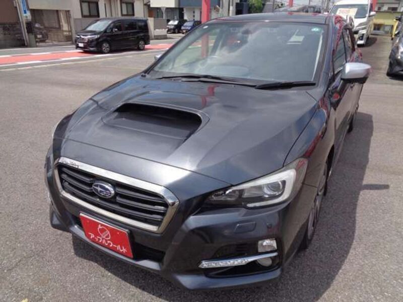 LEVORG