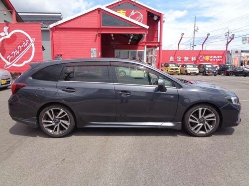 LEVORG