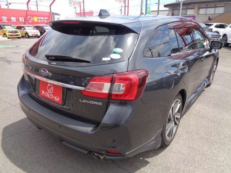 LEVORG