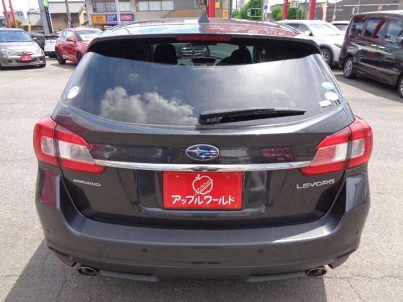 LEVORG