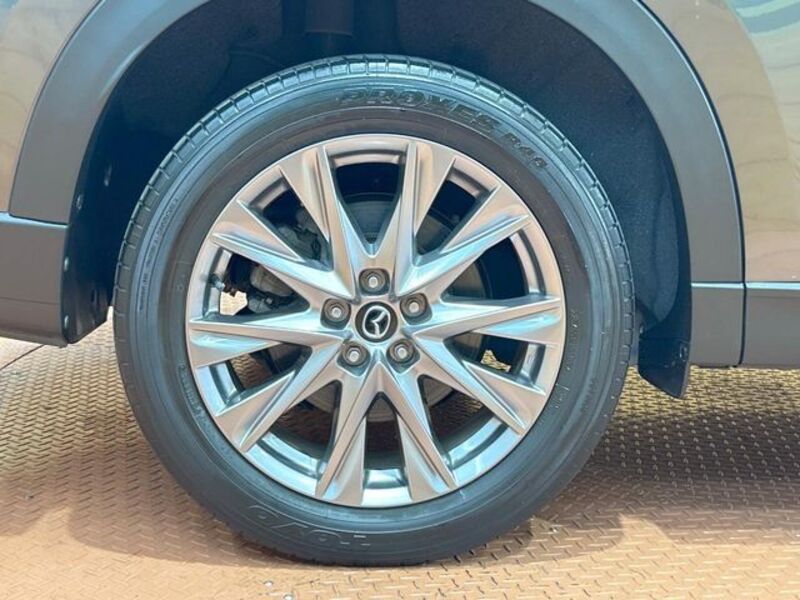 CX-8