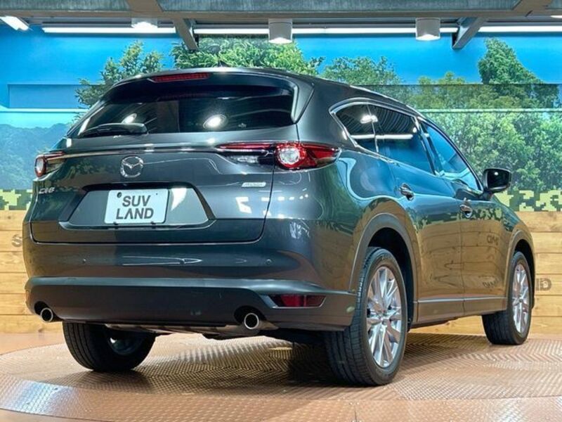 CX-8