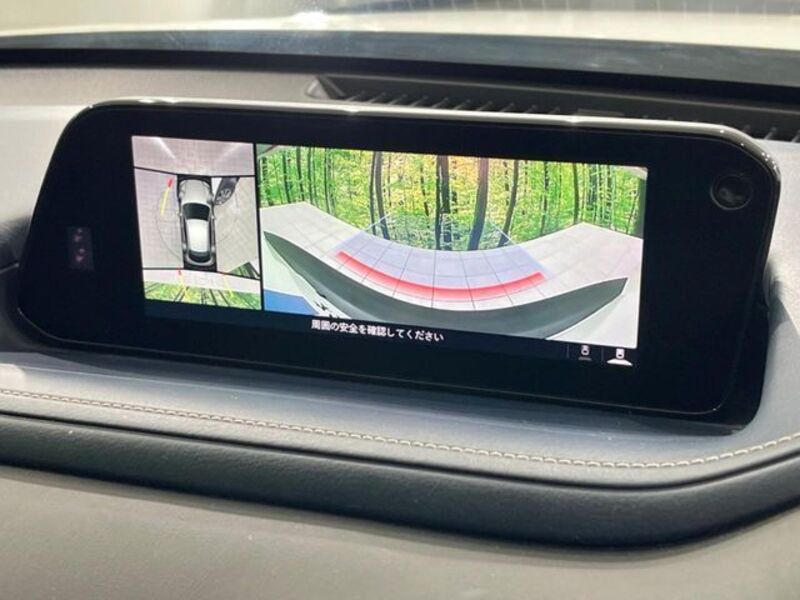 CX-30