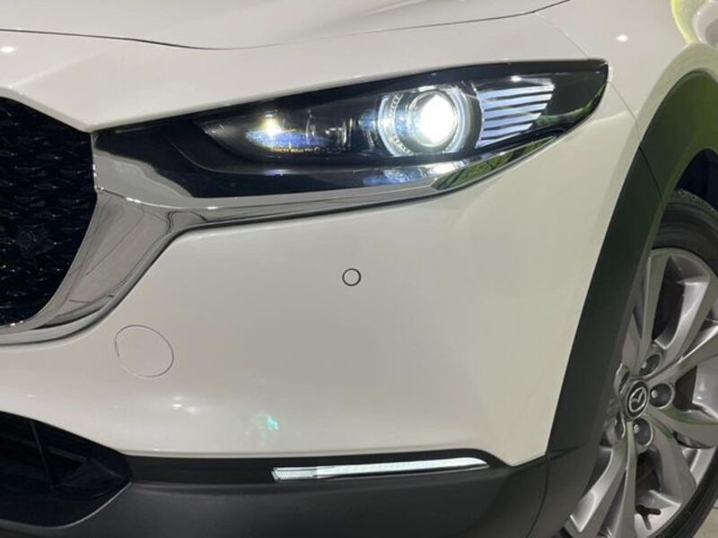 CX-30