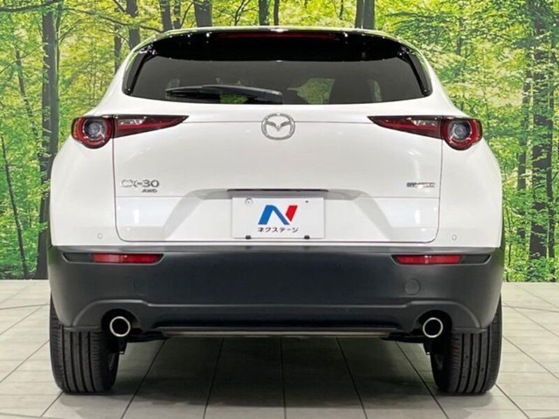 CX-30