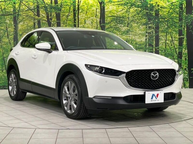 CX-30