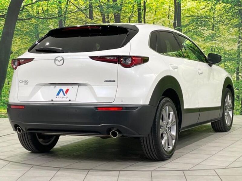 CX-30