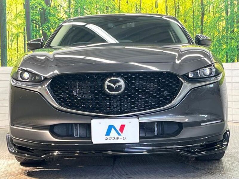 CX-30