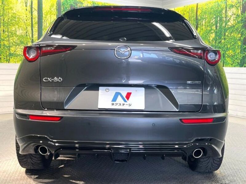 CX-30