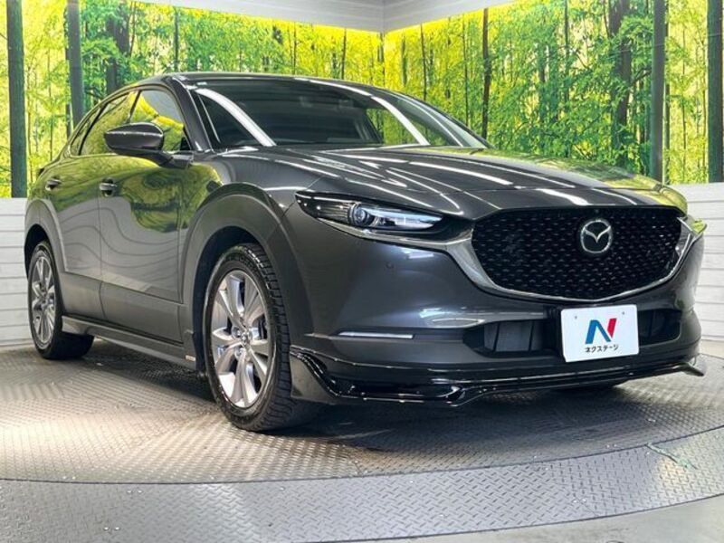 CX-30