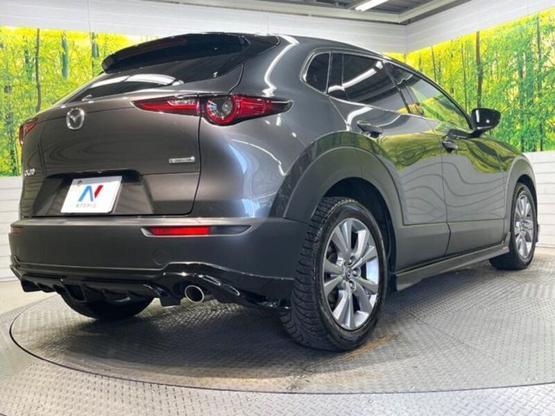 CX-30