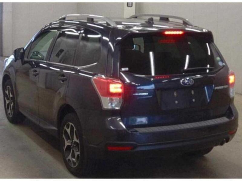 FORESTER