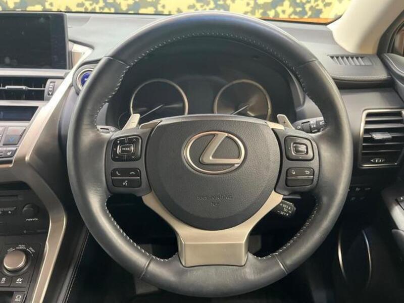 NX