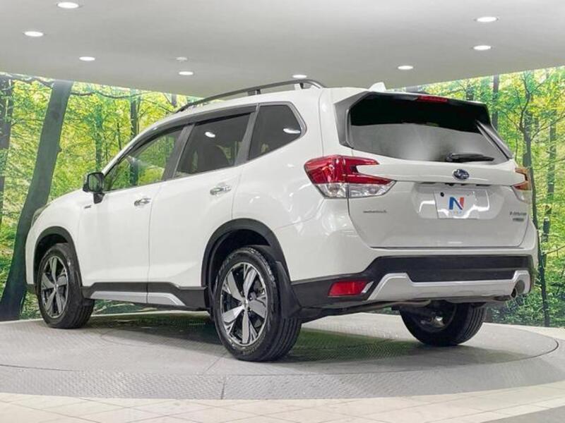 FORESTER