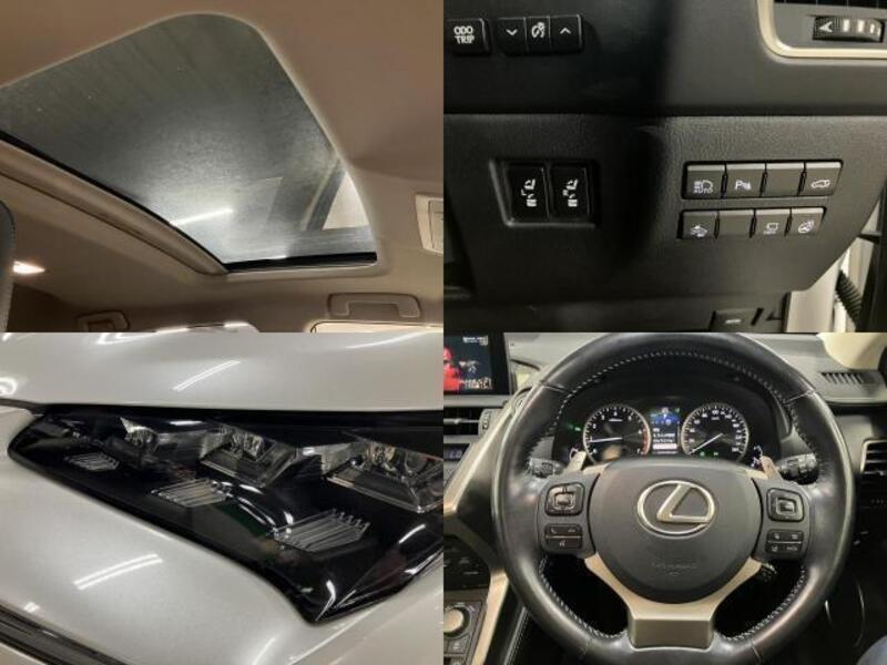 NX