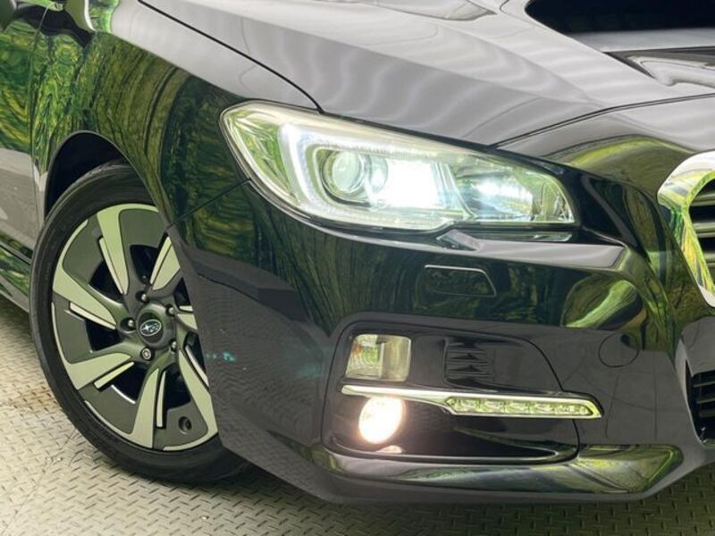 LEVORG
