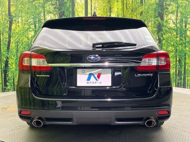 LEVORG