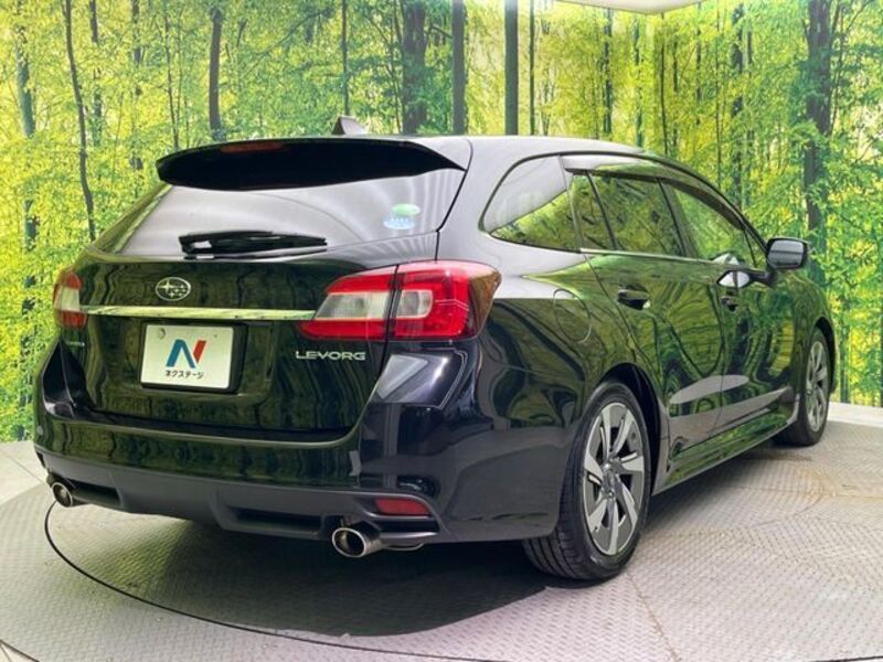 LEVORG