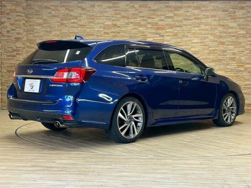 LEVORG