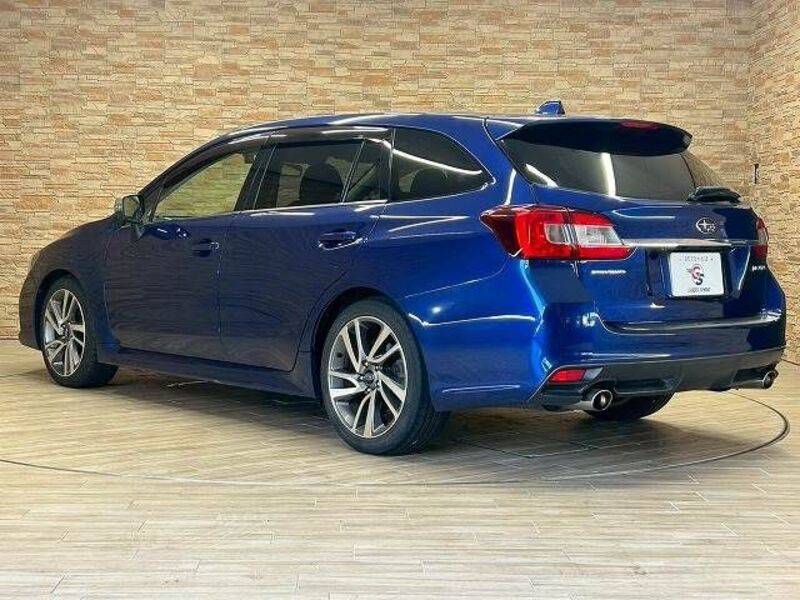 LEVORG