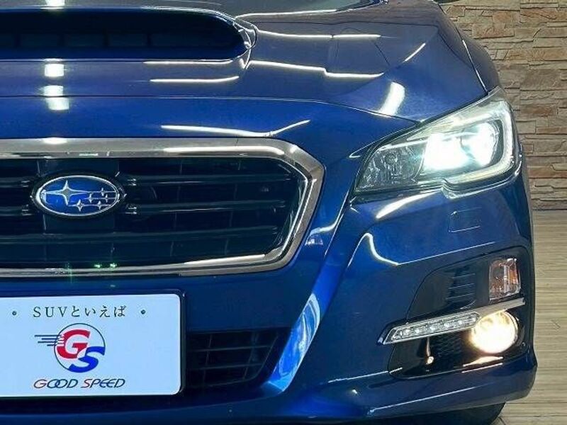 LEVORG