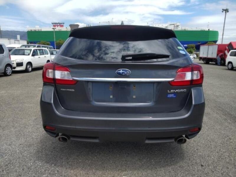 LEVORG