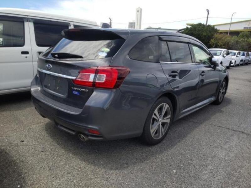 LEVORG