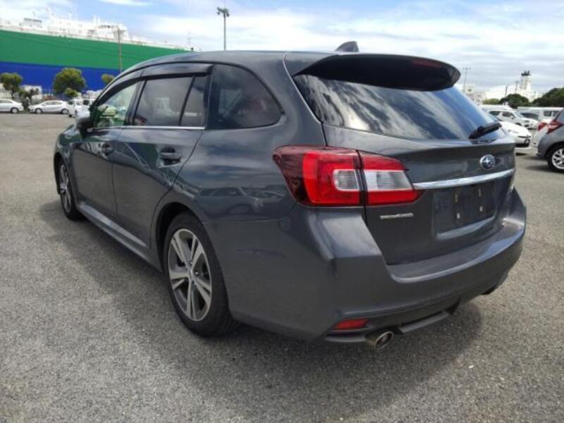 LEVORG