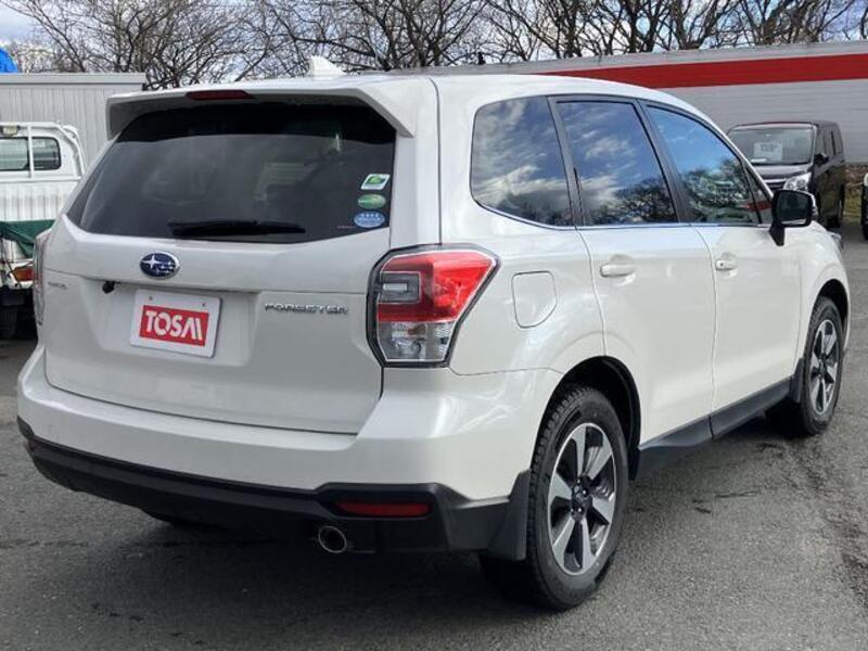 FORESTER
