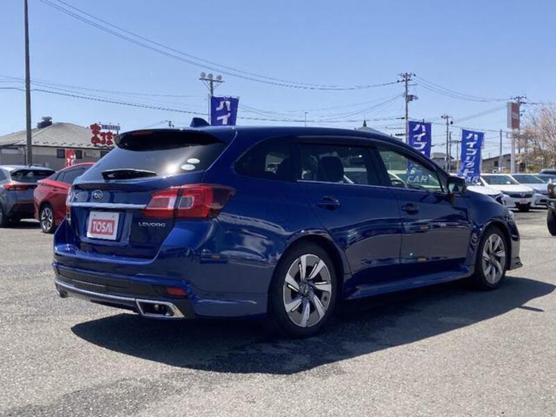 LEVORG