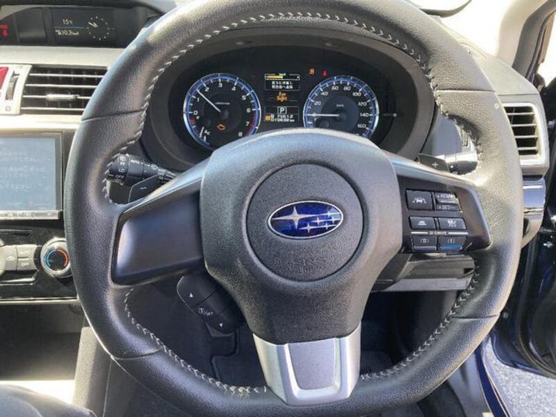 LEVORG