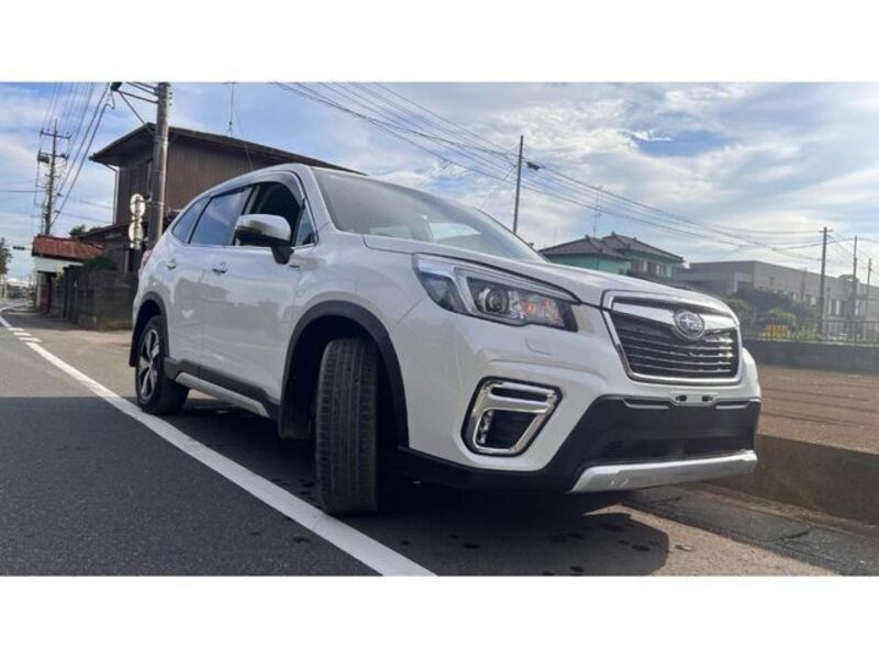 FORESTER