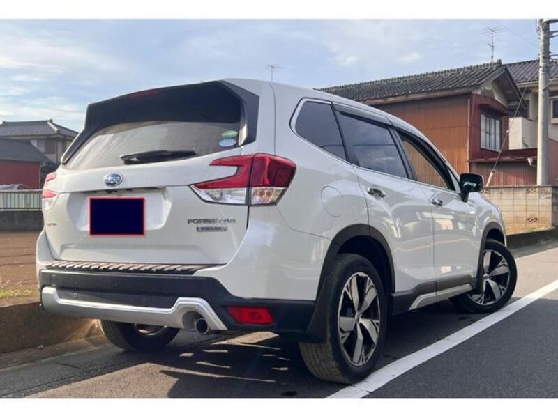 FORESTER