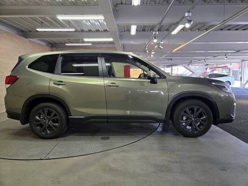 FORESTER