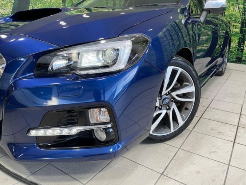 LEVORG