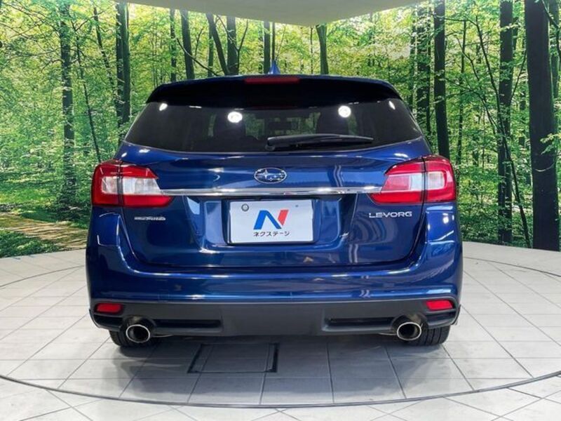 LEVORG