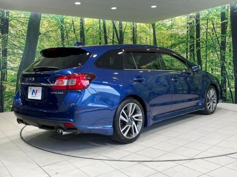 LEVORG