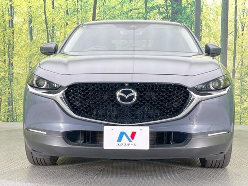 CX-30