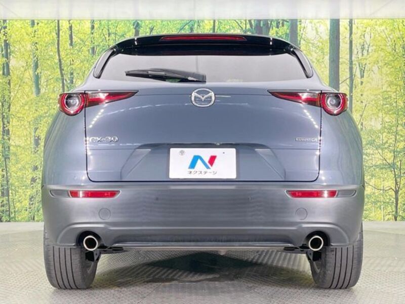 CX-30