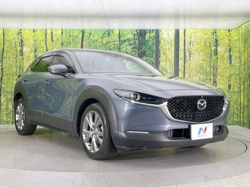 CX-30
