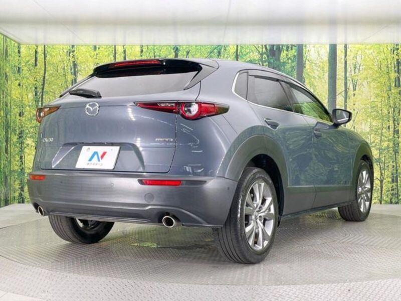 CX-30